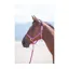 Shires Topaz Full Nylon Headcollar in Raspberry