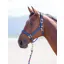 Shires Topaz Full Nylon Headcollar in Blue