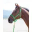 Shires Topaz Full Nylon Headcollar in Green