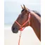 Shires Topaz Full Nylon Headcollar in Orange