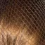 Bitz Hairnets Standard